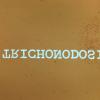 Trichonodosis (2)