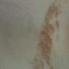 PICT0028