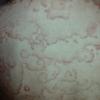 PICT0046